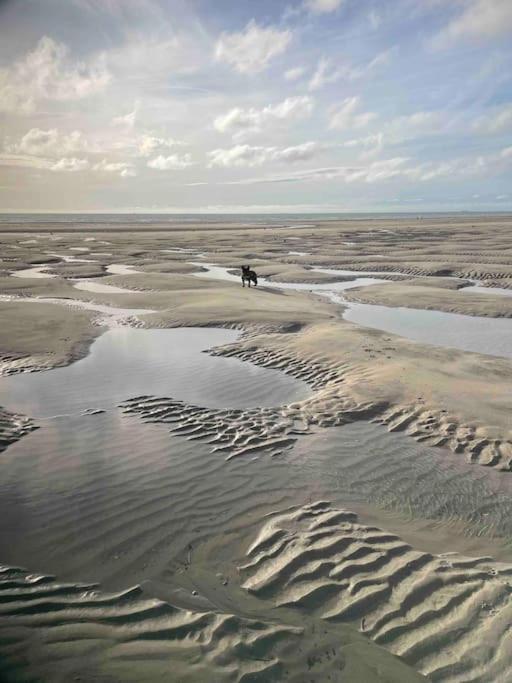 Appartement A 100M De La Plage Нефшатель-Ардело Екстер'єр фото